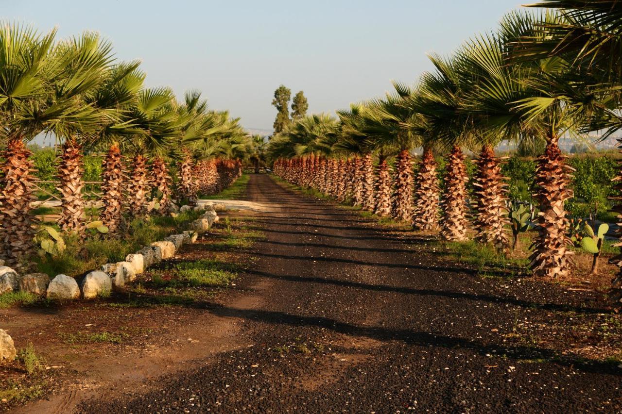 Agriturismo Papyrus Syracuse Exteriér fotografie